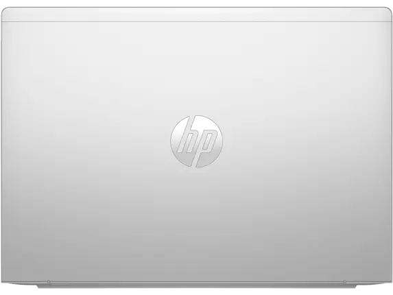 126724 (2).webp
